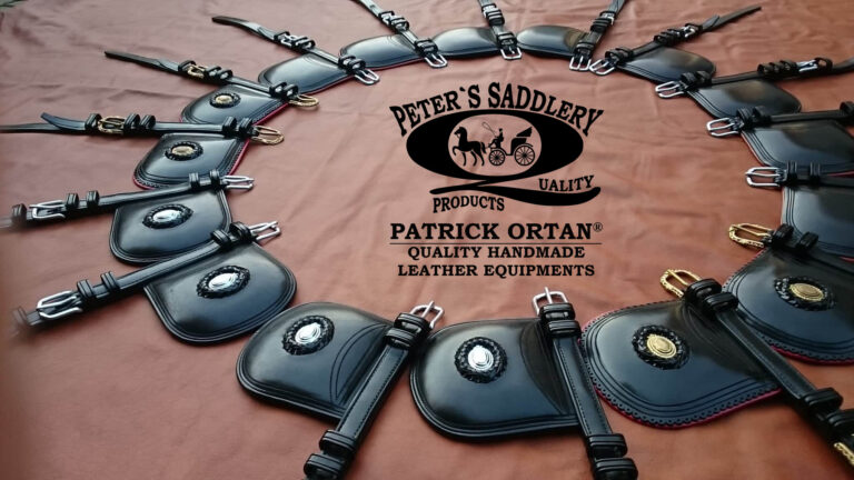 logos pofak 1 1 768x432