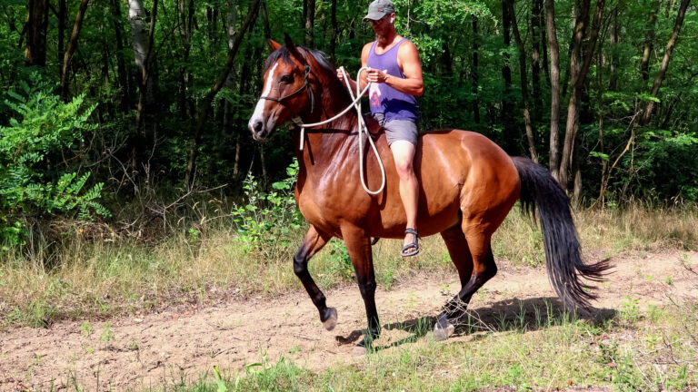 vlcsnap 2025 08 06 14h52m48s135 2 768x432