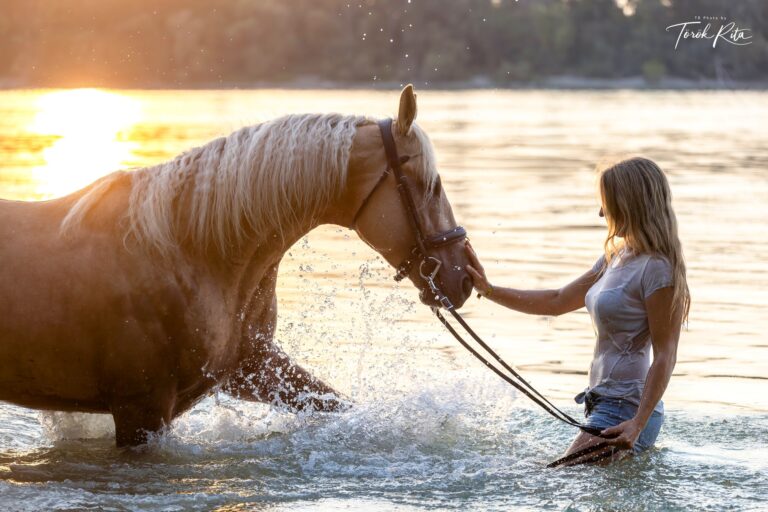 476366450 1133989951441809 1739259545695960274 n 1 768x512