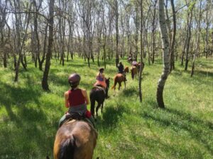 20250421 111136 atmeretezve kozepes meretre 300x225