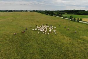 275439020 370696578394014 5849651502476984500 n 300x201