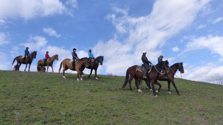 336171481 512992217690780 3544586447347495332 n 768x432