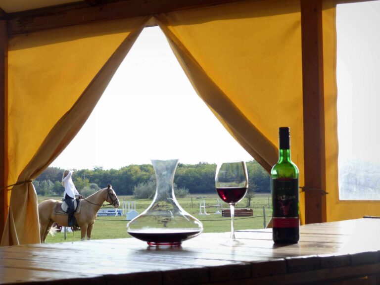 411110895 1081030836265975 5068538856517277202 n 768x576