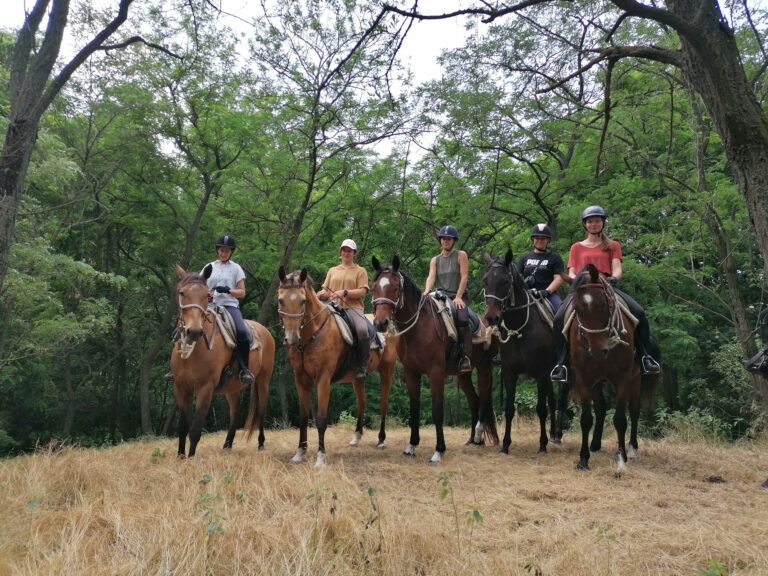 477544402 1197234059073591 3561640280393008273 n 768x576