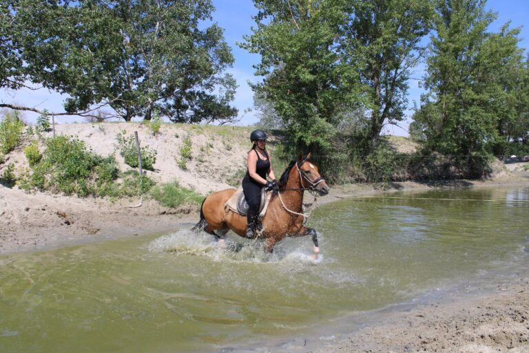 503038183 1296429359154060 5487466895806456445 n 1 768x512