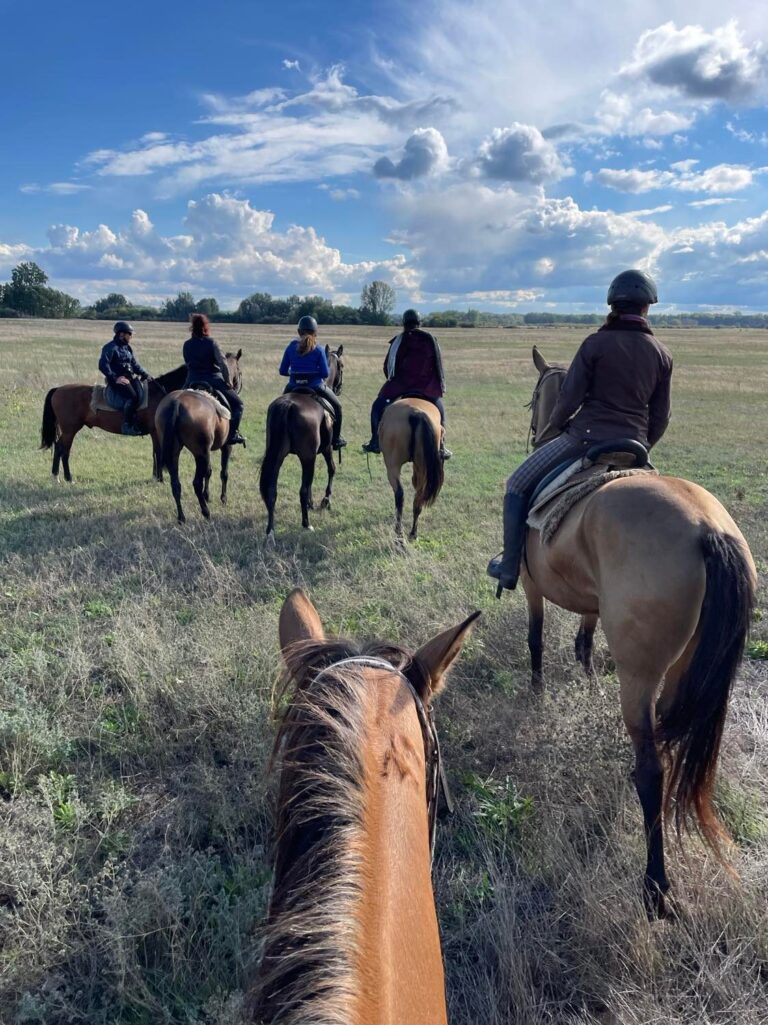 508503547 1308927301237599 7128355296582621309 n 768x1025