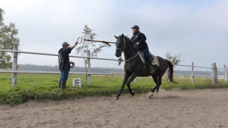 511295440 18358885117144761 2312455624785533710 n 768x431