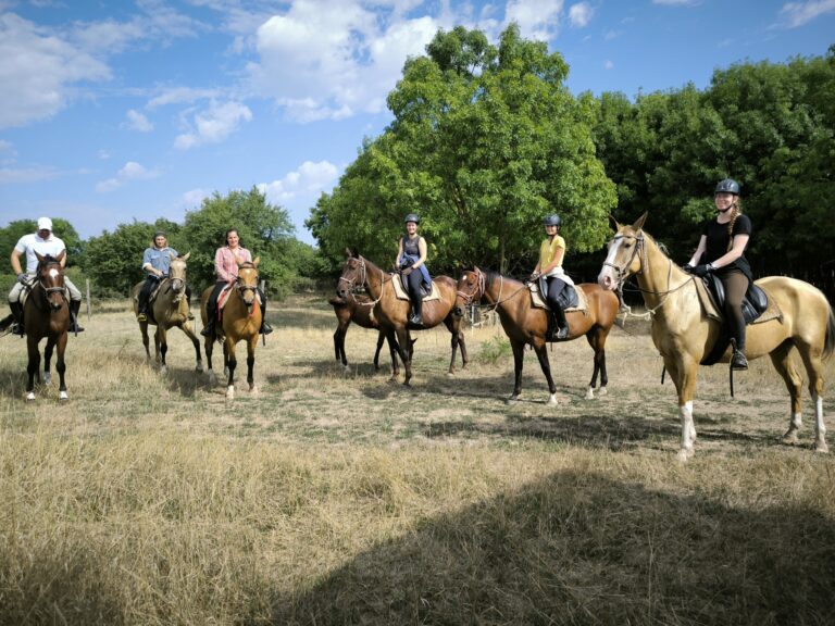 548214572 1391125656351096 3617691467888664249 n 1 768x576