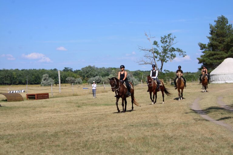 558500352 1410267324436929 6874709059686436487 n 768x512