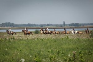 AT forest 2019 2 atmeretezve kozepes meretre 300x200