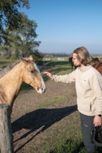 Akhal Teke 121 atmeretezve kozepes meretre 200x300