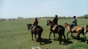 DSC 0033 1536x864 1 300x169