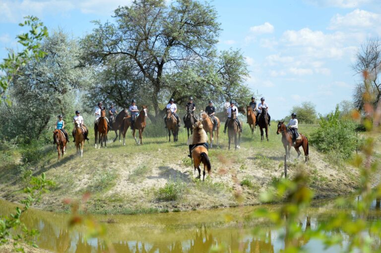 DSC 0886 11zon 768x511