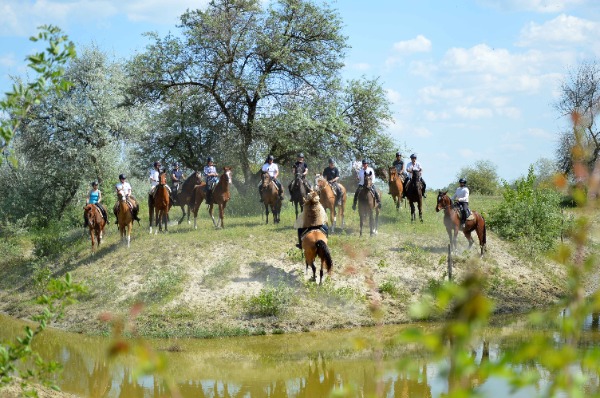 DSC 0886 11zon atmeretezve kozepes meretre