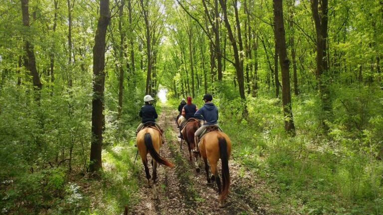 FB IMG 1567666338515 768x432