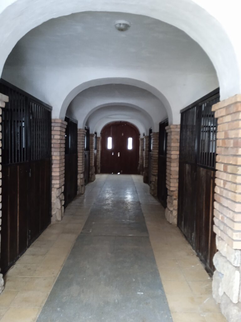 IMG 20221214 110709 1 768x1024