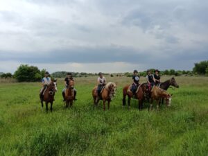 IMG 20250515 150701 atmeretezve kozepes meretre 2 300x225