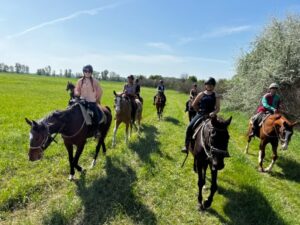 IMG 4572 atmeretezve kozepes meretre 1 300x225