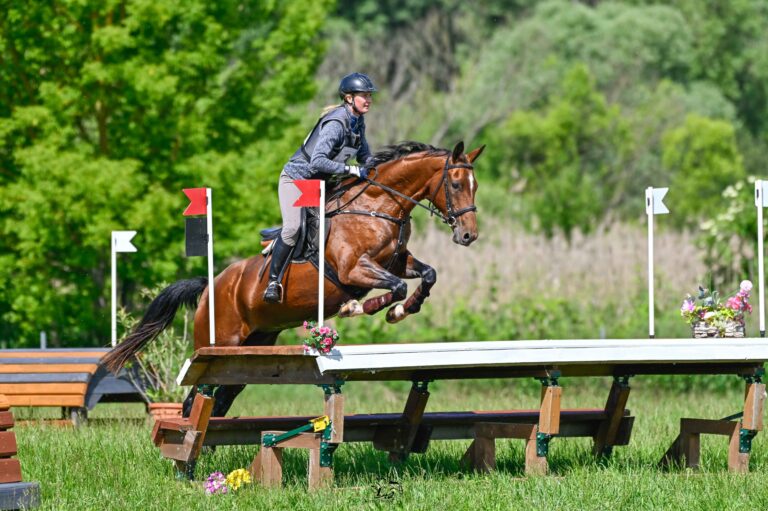 KIR8441 11zon 768x511