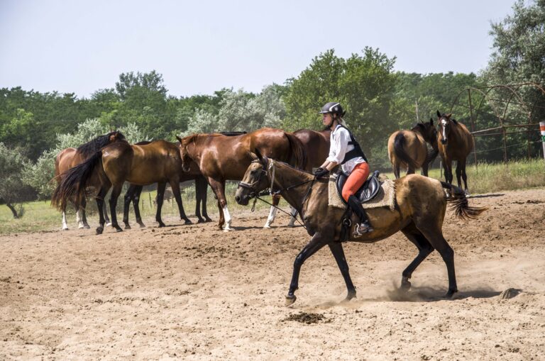 Lovastabor 2 24 768x509