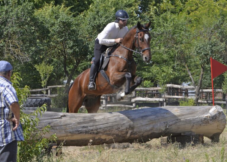 Rego Atlasz 4 768x549