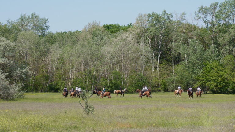 Turasislehet 11 768x432