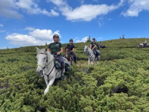 WhatsApp kep  2024 09 06  07.16.15 ad6023de 300x225