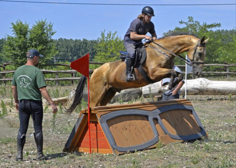 Zsombi Arany 3 768x549