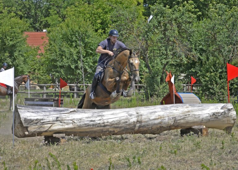 Zsombi Arany 4 768x549