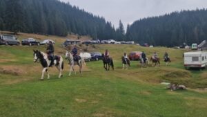 ca62841f 414e 41ec 9ebb 55491b065284 300x169