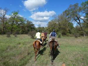 ez lehetmar Attilanal isvan 1 300x225