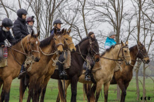 kbyteosak 3 1 300x199