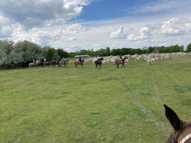 189274924 151579713683968 2753717020189360003 n 768x576