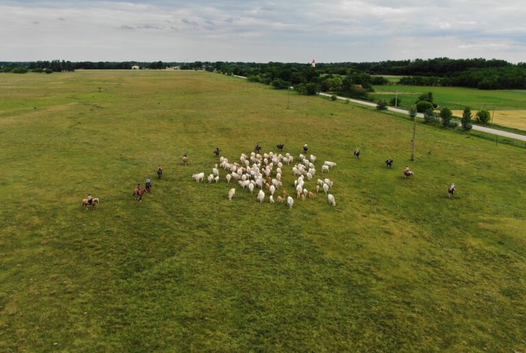 275439020 370696578394014 5849651502476984500 n 768x516