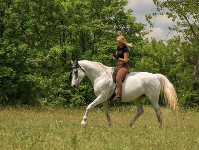 480799587 122110705934730159 2827285088793348612 n