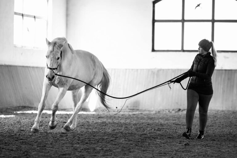 481922428 122113306328730159 4504919652913287181 n 768x512