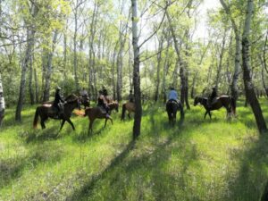 IMG 20180419 095937 atmeretezve kozepes meretre 1 300x225