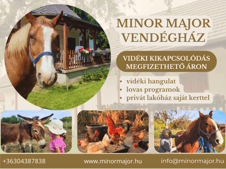 Minor Major Facebook 1200 x 900 1 768x576