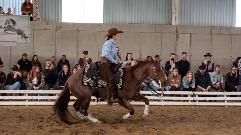 DSC 6131 kicsi 768x432