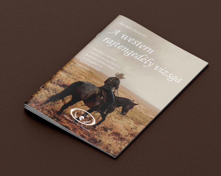 Free A4 Brochure Mockup 2 768x612