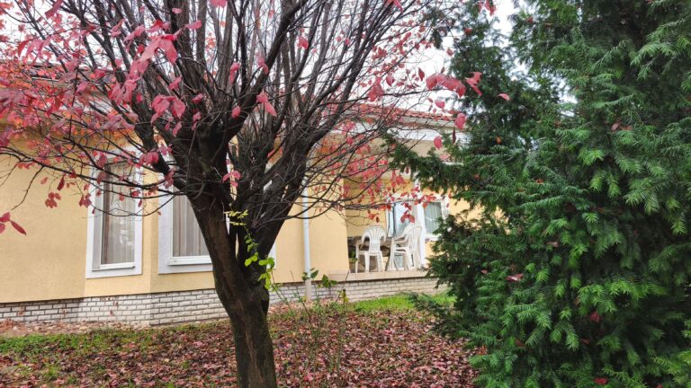 IMG 20251117 101906 768x432