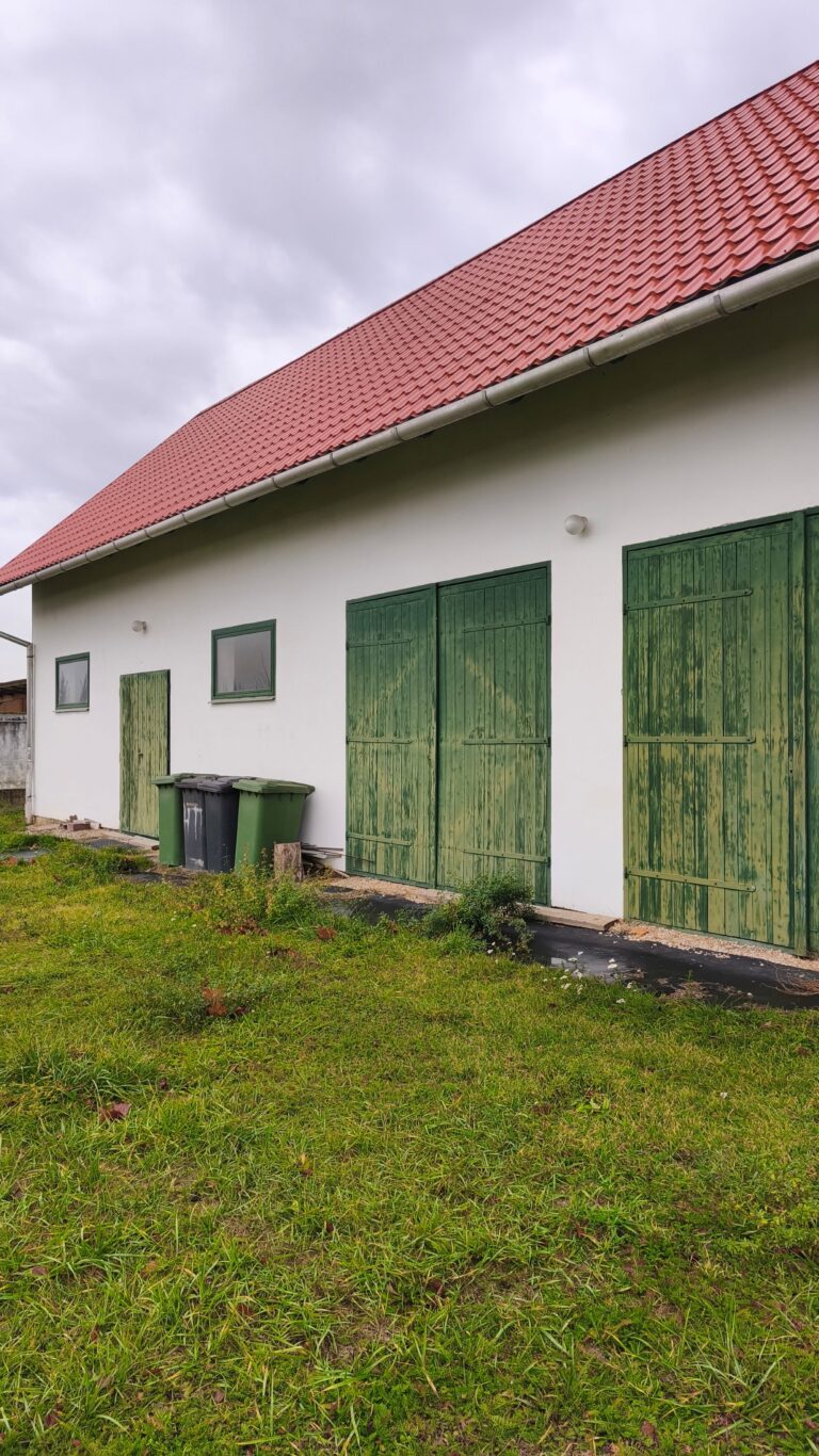 IMG 20251117 102413 768x1366