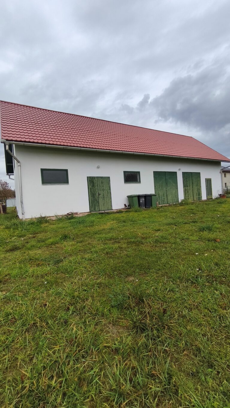 IMG 20251117 104520 masolata 768x1365