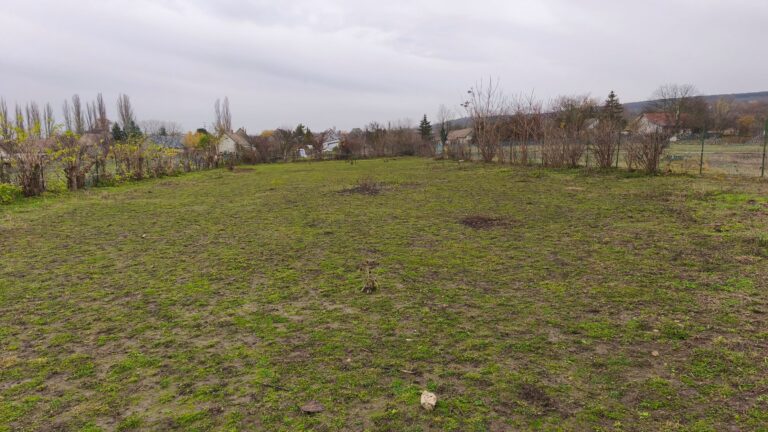 IMG 20251117 104641 768x432