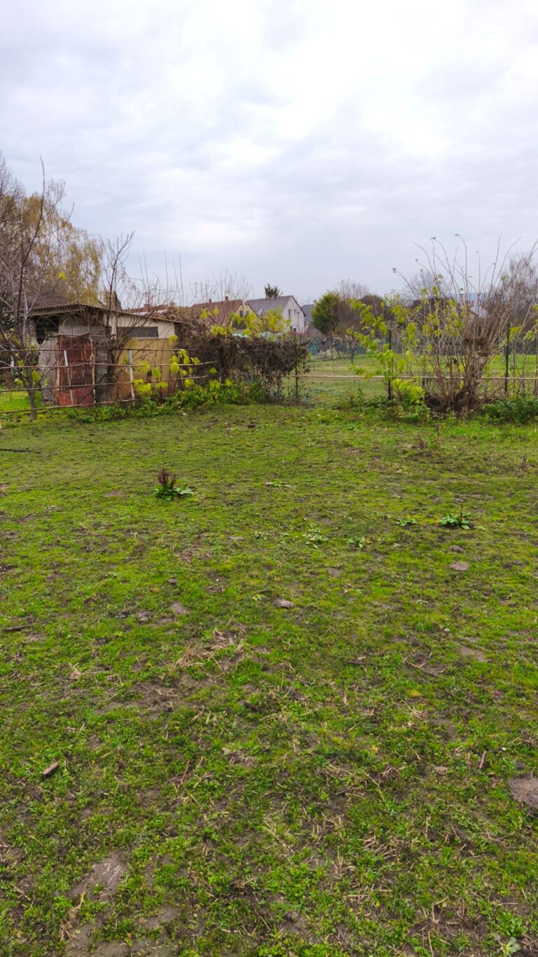 IMG 20251117 104657 768x1365