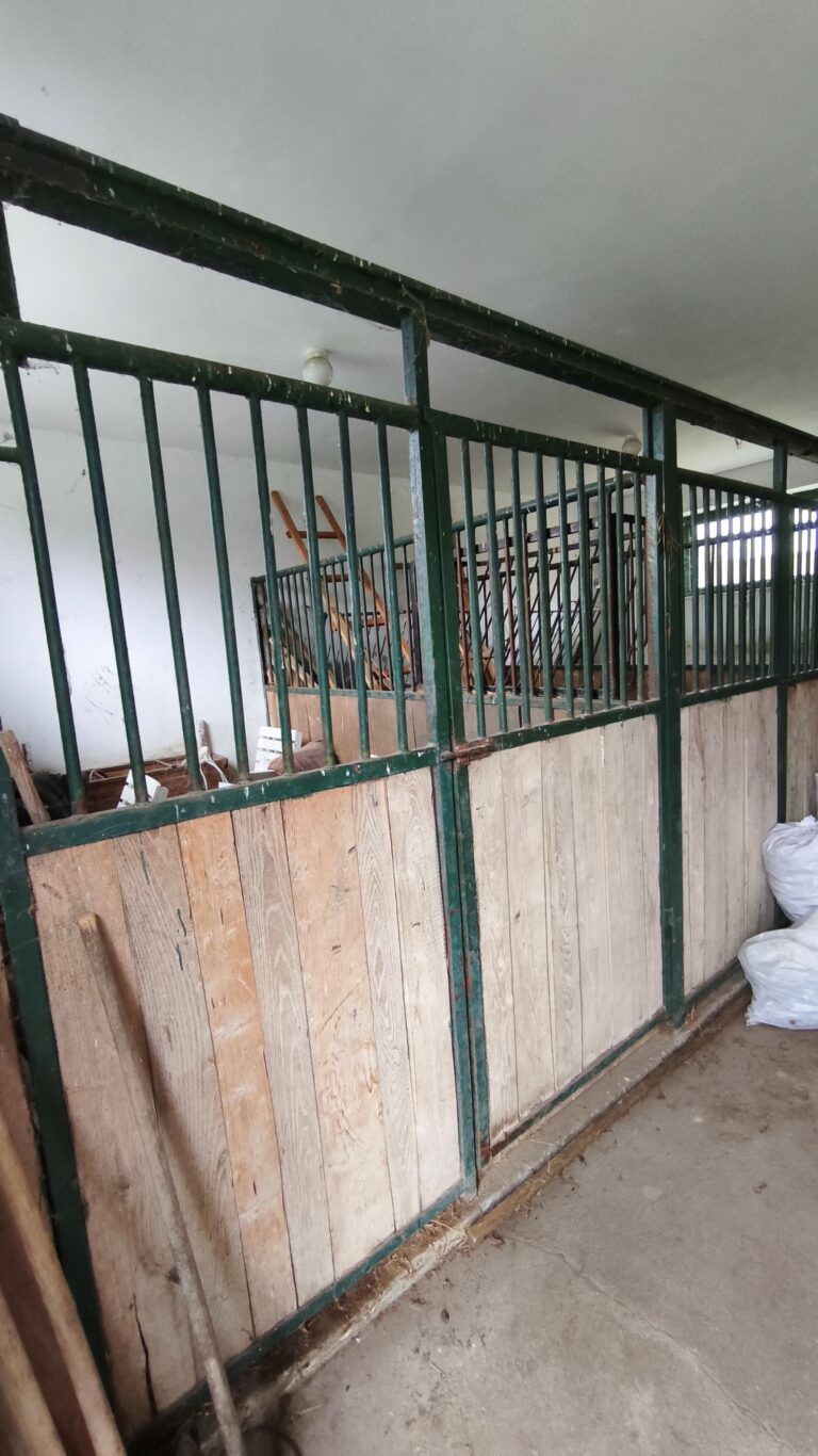 IMG 20251117 104737 768x1366