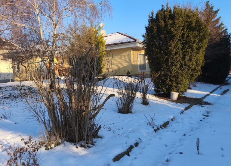 IMG 20260118 091005 768x551