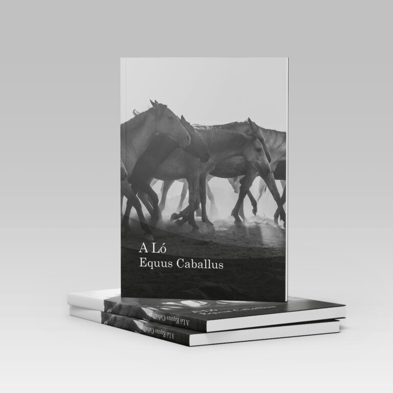 black and white a lo mockup 768x768