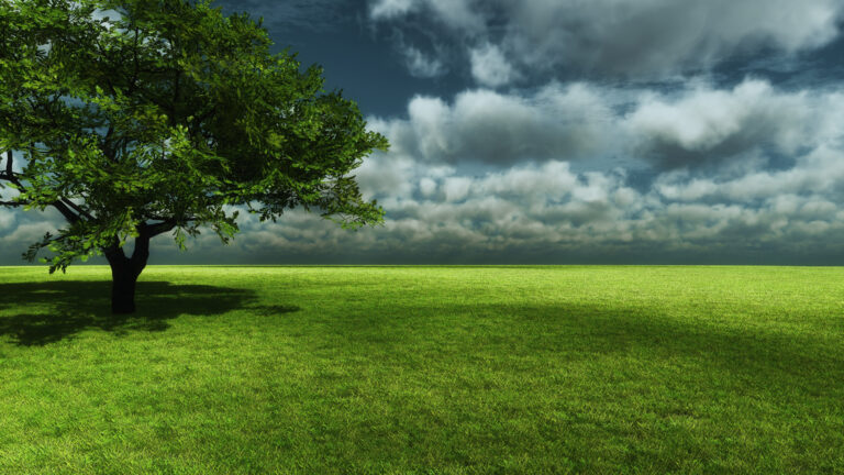 wallpaper 1080p 8 768x432