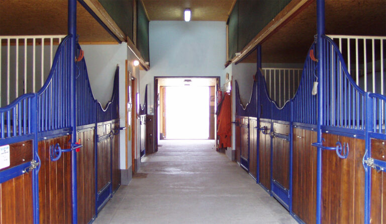 istallo n 4 768x445